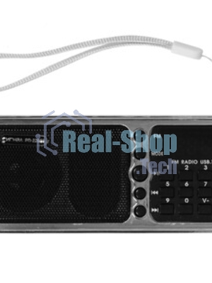 Радиоприемник портативный Сигнал РП-226BT черный/серебристый USB microSD