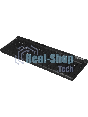 Клавиатура MSI STRIKE Pro W Silent механическая серый/черный USB Multimedia for gamer LED (подставка для запястий) (S11-43RU210-CLA)