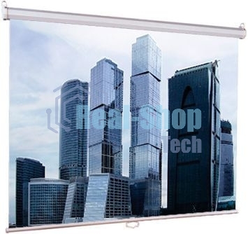 Настенный экран Lumien Eco Picture 206х274см (рабочая область 198х266 см) Matte White прямоуголный корпус, возможность потолочн./настенного крепления, уровень в комплекте, 4:3