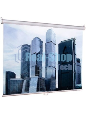 Настенный экран Lumien Eco Picture 206х274см (рабочая область 198х266 см) Matte White прямоуголный корпус, возможность потолочн./настенного крепления, уровень в комплекте, 4:3