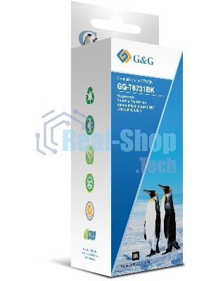 Чернила G&G GG-T6731BK черный100мл для Epson L800, L805, L810, L850