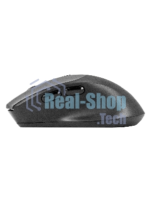 Мышь беспроводная ExeGate Professional Standard BT-070 черный, 1600 dpi, радиоканал, Bluetooth, USB, кнопки - 6