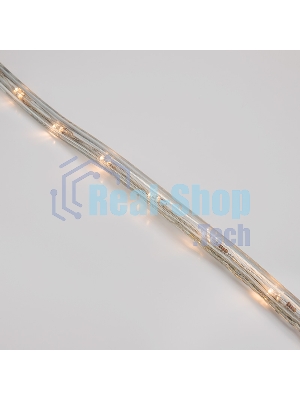 Дюралайт Neon-night LED, свечение с динамикой (3W) - теплый белый, 24 LED/м, бухта 100м
