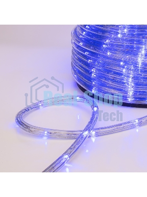 Дюралайт Neon-night LED, свечение с динамикой (3W) - синий, 24 LED/м, бухта 100м
