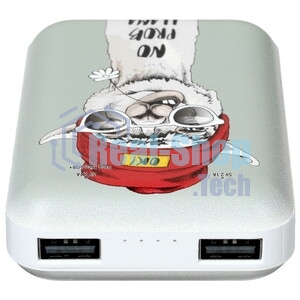 Портативный аккумулятор RITMIX RPB-10007 Lama