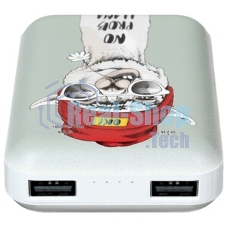 Портативный аккумулятор RITMIX RPB-10007 Lama