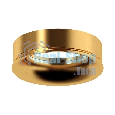 Насадка для корпуса светильника N7014 PYG золото желтое полированное D70*H20mm Out2mm MR16
