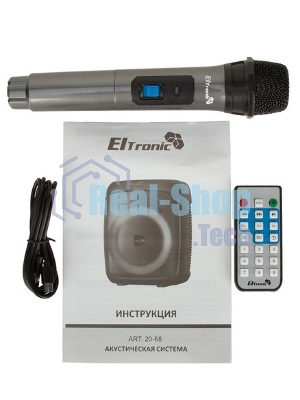 Колонка ELTRONIC 08