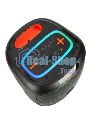 Колонка ELTRONIC 08