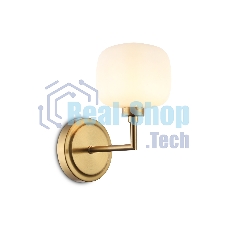 Настенный светильник Ambrella light LH53021 BS/FR латунь/белый матовый G9 max 40W 195*120*230