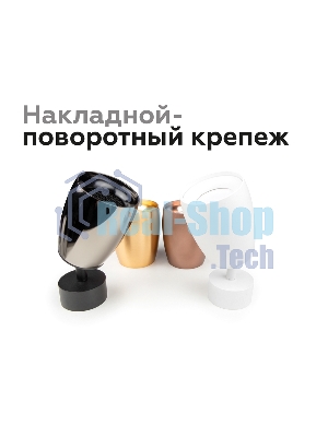 Насадка для корпуса светильника N7014 PYG золото желтое полированное D70*H20mm Out2mm MR16