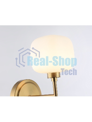Настенный светильник Ambrella light LH53021 BS/FR латунь/белый матовый G9 max 40W 195*120*230