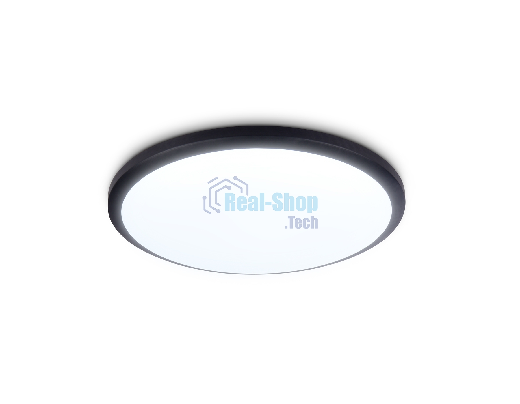 Потолочный светодиодный светильник Ambrella light FZ1233 BK черный IP44 22W 6400К D260*55 (Без ПДУ)