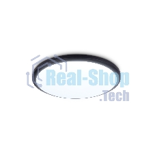 Потолочный светодиодный светильник Ambrella light FZ1233 BK черный IP44 22W 6400К D260*55 (Без ПДУ)