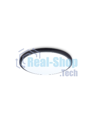 Потолочный светодиодный светильник Ambrella light FZ1233 BK черный IP44 22W 6400К D260*55 (Без ПДУ)