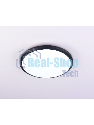 Потолочный светодиодный светильник Ambrella light FZ1233 BK черный IP44 22W 6400К D260*55 (Без ПДУ)