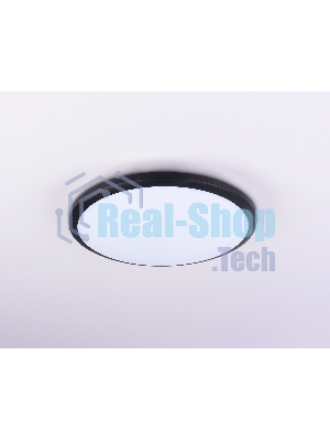 Потолочный светодиодный светильник Ambrella light FZ1233 BK черный IP44 22W 6400К D260*55 (Без ПДУ)
