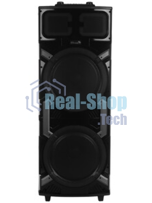 Колонка Eltronic 08