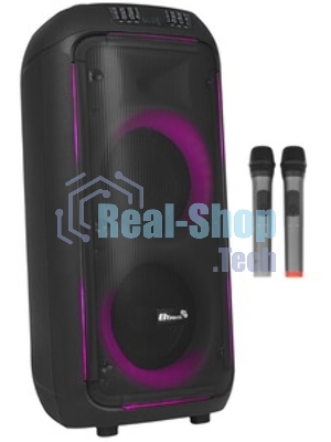 Колонка Eltronic 08