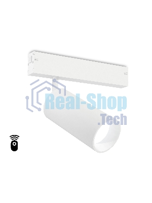 Управляемый светодиодный светильник для шинопровода Magnetic Ambrella light GL1221 WH белый IP20 18W 3000K-6400K 220V 36° D55*120 (Без ПДУ)