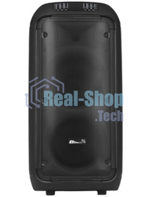 Колонка Eltronic 08