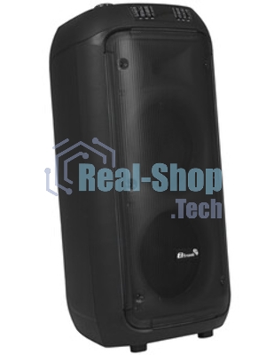 Колонка Eltronic 08