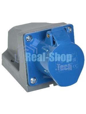 Розетка ОП 16А 220В 2P+PЕ ССИ-113 IP44 IEK PSR11-016-3