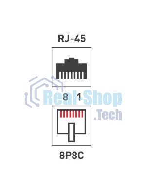 Розетка компьютерная Rexant 2-м ОП RJ45 CAT.5E бел.
