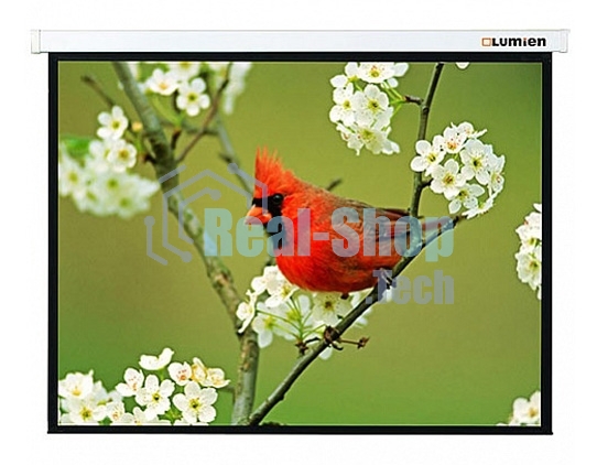 Экран Lumien 305x305 см Master Picture LMP-100107 1:1 настенно-потолочный рулонный