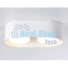 Светильник накладной TN70818/2 WH белый GX53/2 max 12W 200*100*60