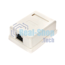 Розетка GEMBIRD NAS212 RJ-45 кат.STP 5e внешняя экранированная 1 порт, 110/Krone