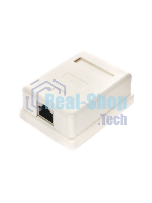 Розетка GEMBIRD NAS212 RJ-45 кат.STP 5e внешняя экранированная 1 порт, 110/Krone