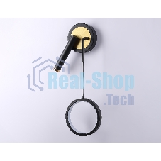 Настенный светодиодный светильник Ambrella light FL51652/1+1 BK/GD черный/золото 10W 4200K 500*227*90