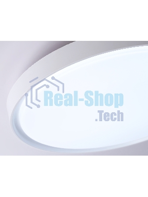 Потолочный светодиодный светильник Ambrella light FZ1246 WH белый IP54 12W 5000K D240*60 (Без ПДУ)