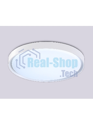 Потолочный светодиодный светильник Ambrella light FZ1246 WH белый IP54 12W 5000K D240*60 (Без ПДУ)