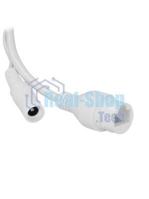Уличная купольная IP-видеокамера Dahua DH-IPC-HDBW2449EP-S-IL-0280B Smart Dual Light с ИИ 4Мп, 1/2.9” CMOS, объектив 2.8мм, видеоаналитика, ИК до 30м, LED до 30м, IP67, корпус: металл
