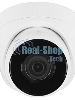 Камера видеонаблюдения IP HiWatch DS-I403(D)(4мм) 4-4мм цв.