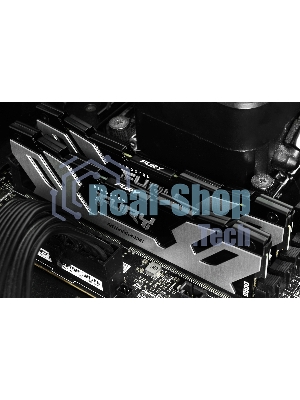 Оперативная память Kingston Fury Renegade, DDR5, 64Gb (2x32Gb), 6400MHz, CL32, DIMM, радиатор, серебристый/черный