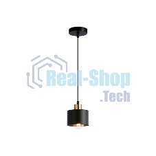 Светильник Ambrella light TR8113 BK/BS черный/латунь E27 max 40W D120*940