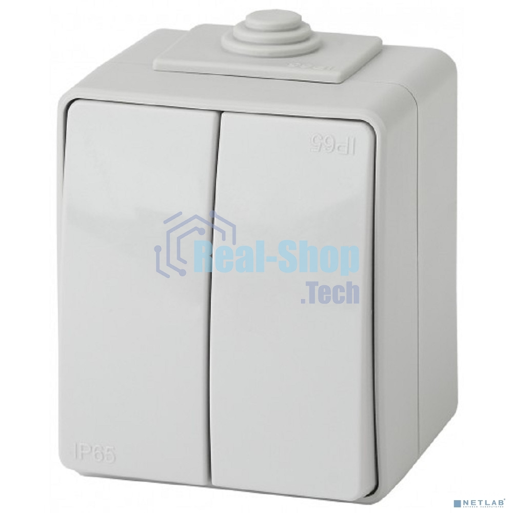 Выключатель 2-кл ОУ IP65 ЭРА 11-1604-03 Эксперт серый