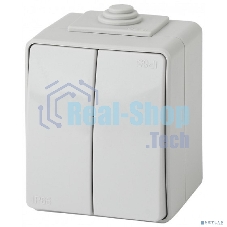 Выключатель 2-кл ОУ IP65 ЭРА 11-1604-03 Эксперт серый