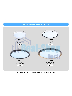 Потолочный светодиодный светильник Ambrella light FZ1247 WH/BK белый/черный IP54 20W 5000K D300*60 (Без ПДУ)