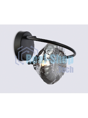 Светильник Ambrella light LH15005 BK/SM черный/дымчатый G9 max 40W 195*210*170