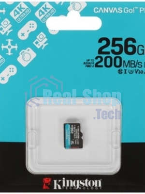 Флеш карта microSDXC 256Gb Kingston SDCG4/256GbSP Canvas Go! Plus V10 A2 w/o adapter