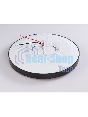 Потолочный светодиодный светильник Ambrella light FZ1248 BK черный IP54 30W 5000K D380*60 (Без ПДУ)