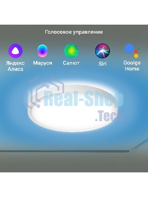 Умный светильник Digma TopLight TL40 потолоч. белый (TL40)