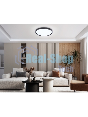 Потолочный светодиодный светильник Ambrella light FZ1248 BK черный IP54 30W 5000K D380*60 (Без ПДУ)