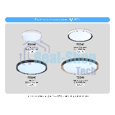 Потолочный светодиодный светильник Ambrella light FZ1248 BK черный IP54 30W 5000K D380*60 (Без ПДУ)