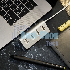Разветвитель Rexant 4 USB-port серебристый