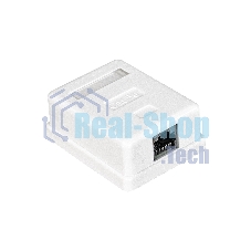 Розетка внешняя Exegate EX271122RUS RJ-45 кат.5/5E UTP Krone/110